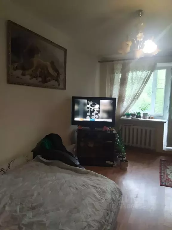 1-к кв. Московская область, Ногинск Богородский городской округ, ул. ... - Фото 1