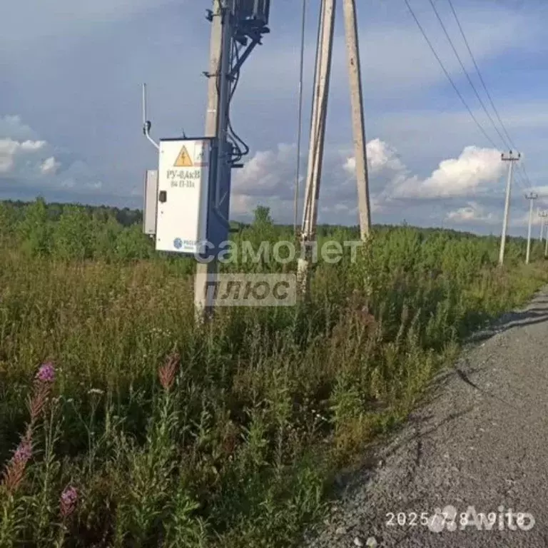 Участок в Тюменская область, Тюменский муниципальный округ, с. Кулига, ... - Фото 1