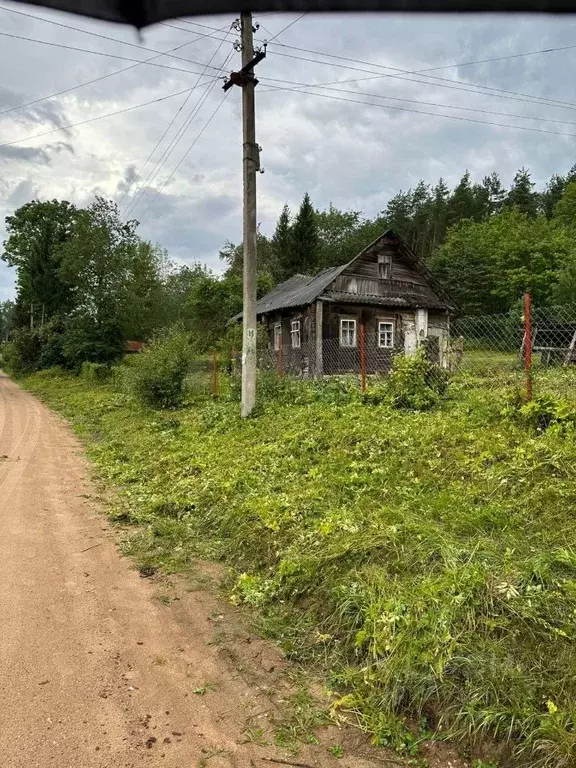 участок в псковская область, дедовичский район, пожеревицкая волость, . - Фото 1