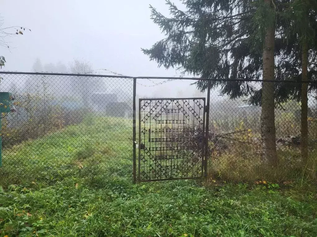 Участок в Ярославская область, Рыбинский муниципальный округ, д. ... - Фото 1