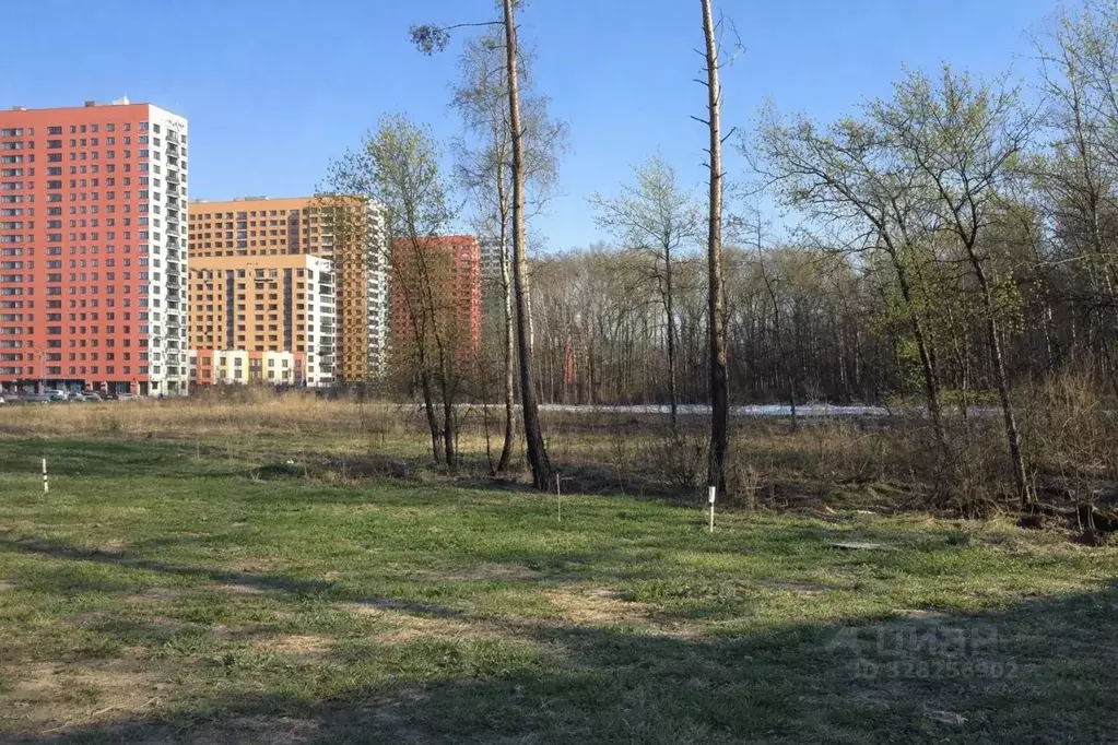 Участок в Москва д. Картмазово,  (2.6 сот.) - Фото 2