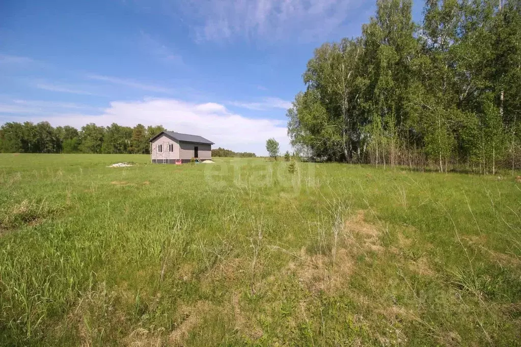 Участок в Алтайский край, Первомайский район, с. Фирсово ул. Кедровая ... - Фото 1