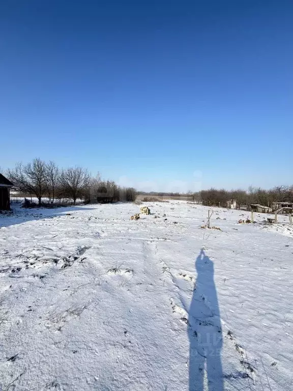 Участок в Белгородская область, Алексеевский муниципальный округ, с. ... - Фото 2