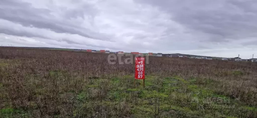 Участок в Краснодарский край, Анапа муниципальный округ, с. ... - Фото 1