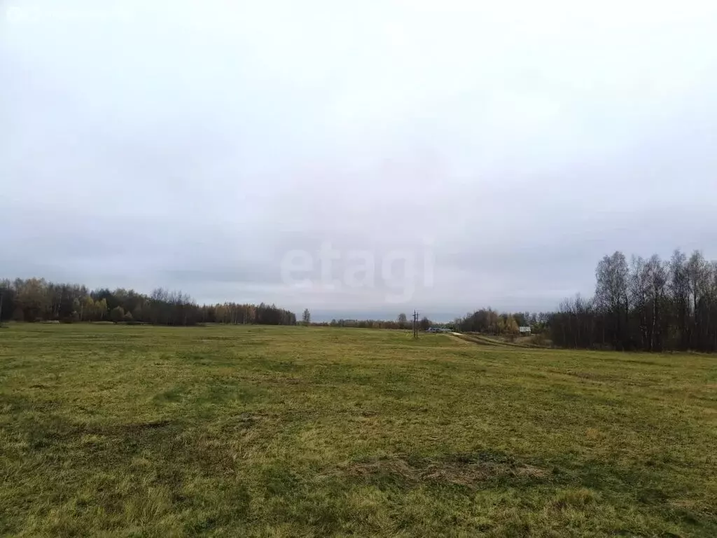 Участок в Владимирская область, Кольчугинский муниципальный округ, ... - Фото 2