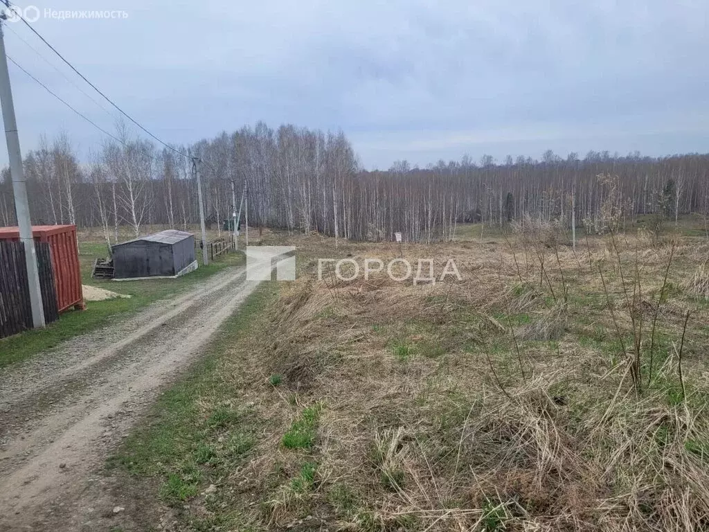 Участок в Станционный сельсовет, садоводческое некоммерческое ... - Фото 0