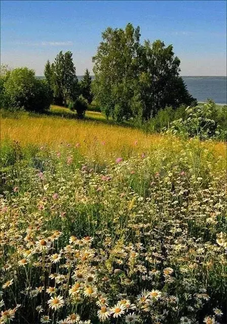 Участок 1 сот. (ИЖС) - Фото 0