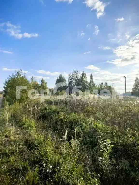 Участок в Московская область, Сергиево-Посадский городской округ, ... - Фото 1