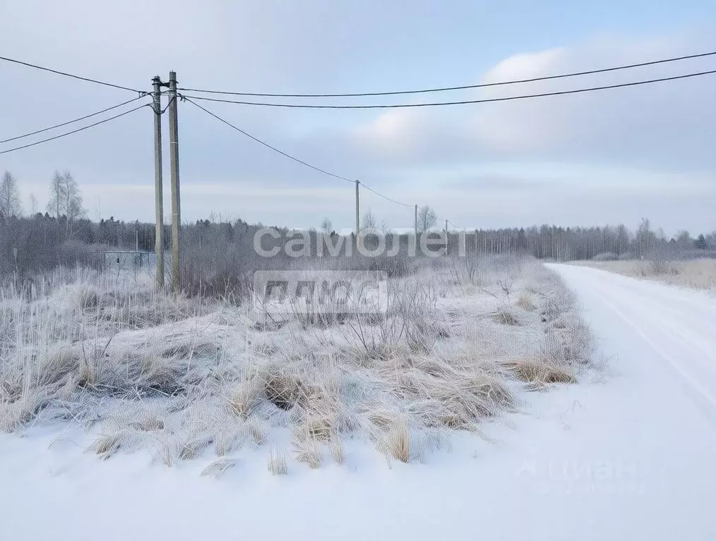 Участок в Московская область, Коломна городской округ, д. Новоселки, ... - Фото 1