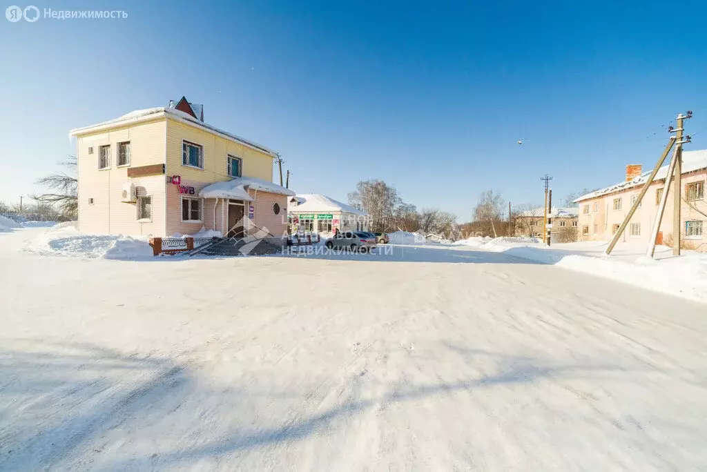 Дом в село Подвязье, Сенная улица, 155 (57 м) - Фото 2