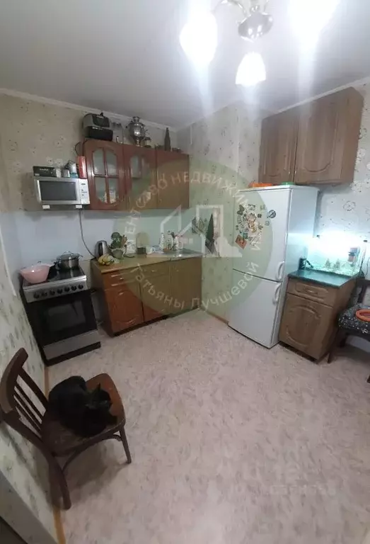 Студия Алтайский край, Барнаул ул. Советской Армии, 71 (26.8 м) - Фото 0