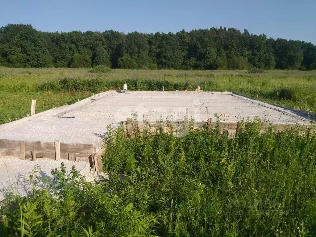 Участок в Тульская область, Алексин городской округ, д. Егнышевка  ... - Фото 0