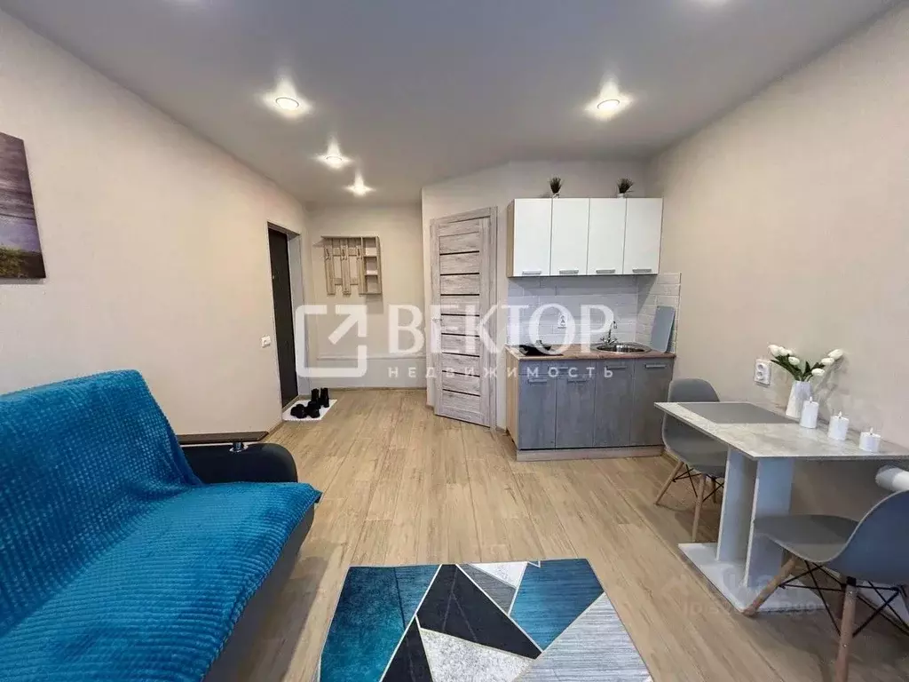 Студия Ивановская область, Иваново ул. Кудряшова, 100 (24.0 м) - Фото 1