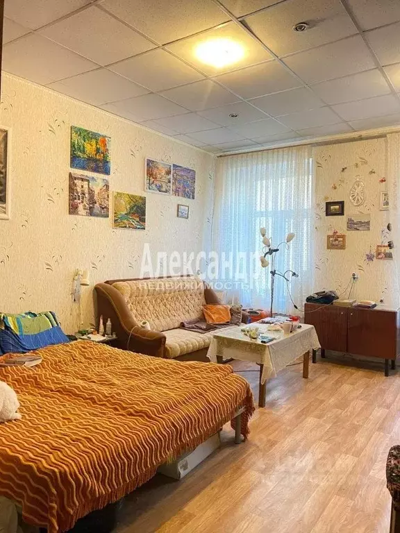 Комната Санкт-Петербург Вознесенский просп., 51 (24.0 м) - Фото 1