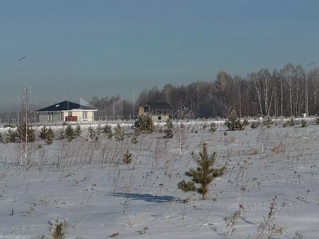 Участок в Тюменская область, Тюменский район, Новокаменский кп  (10.33 ... - Фото 1