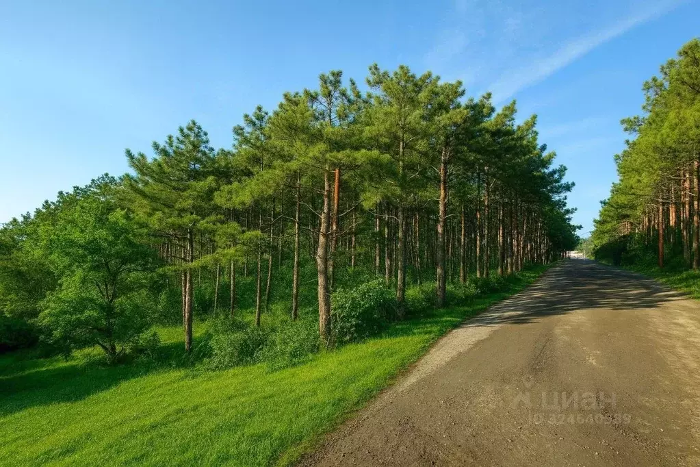 Участок в Крым, Алушта муниципальный округ, пос. Семидворье, Аян-Дере ... - Фото 1