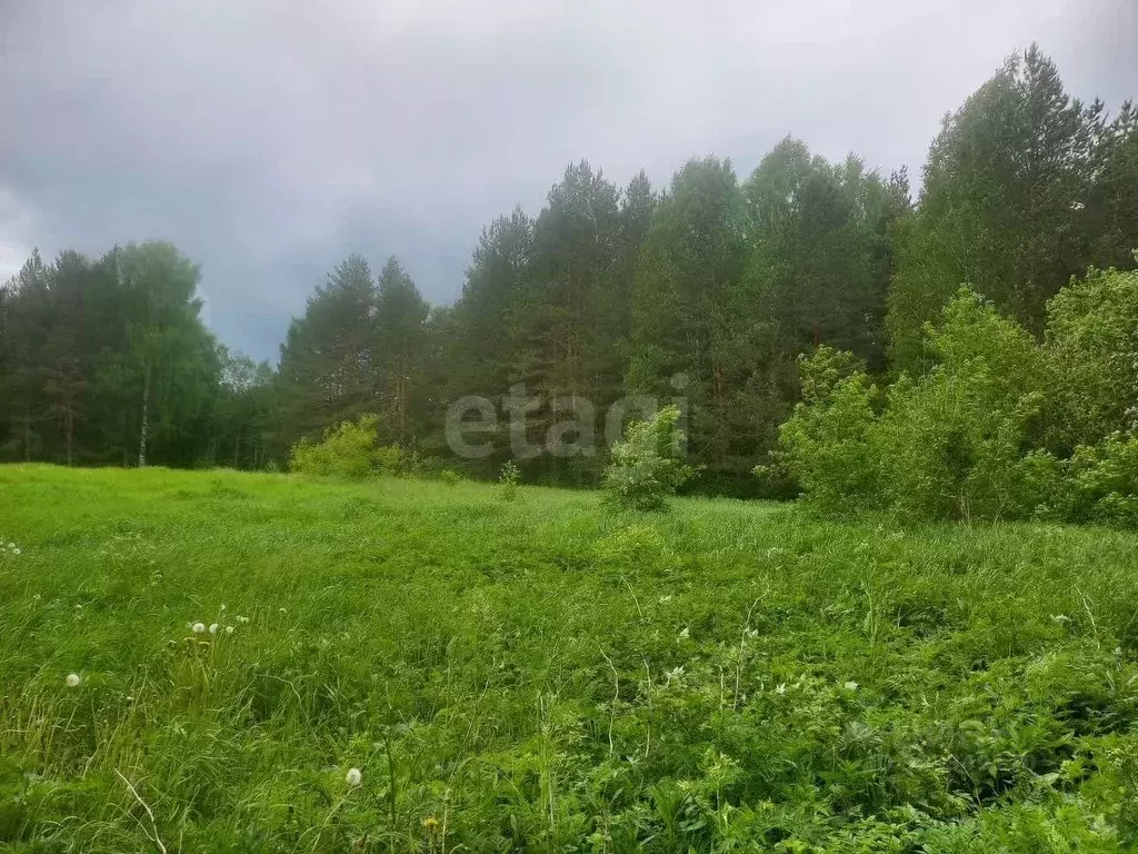 Участок в Кировская область, Киров городской округ, с. Бахта  (6.0 ... - Фото 2