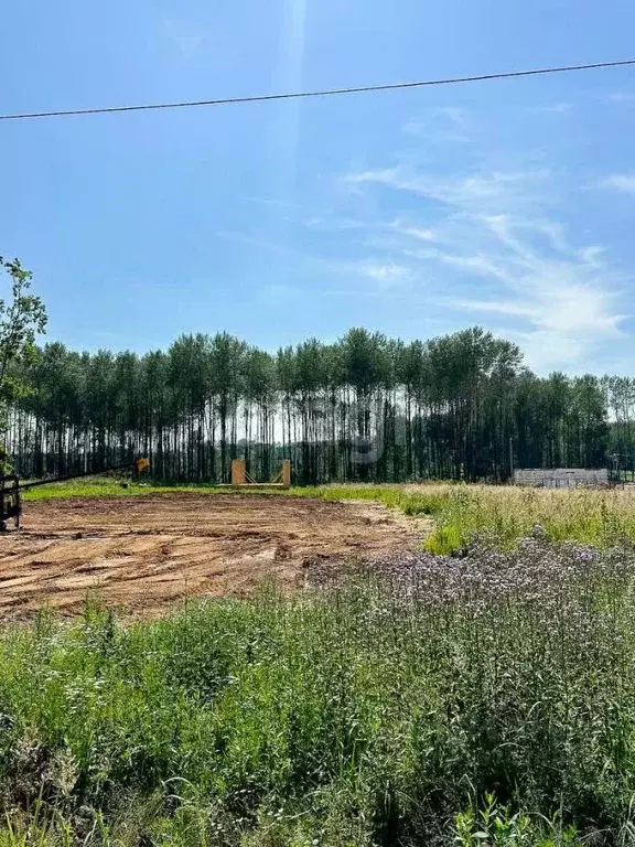 Участок в Ярославская область, Некрасовское с/пос, Малые Соли Парк кп ... - Фото 1