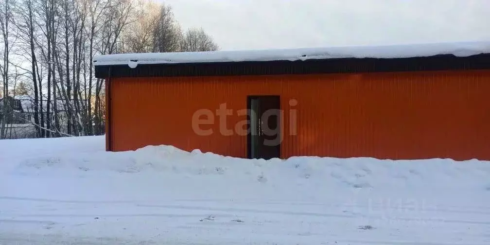 Помещение свободного назначения в Псковская область, Струги Красные рп ... - Фото 1