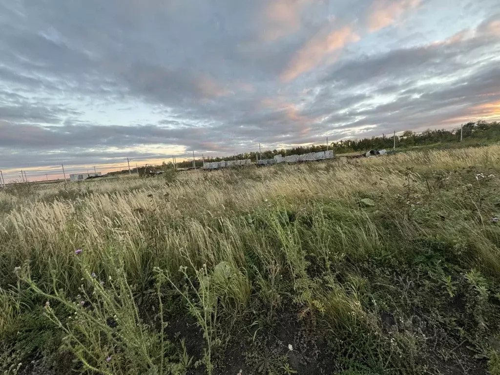 Участок в Челябинская область, Красноармейский район, Озерное с/пос, ... - Фото 1