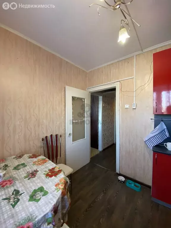 1-комнатная квартира: Лосино-Петровский, улица Гоголя, 28 (30.2 м) - Фото 2