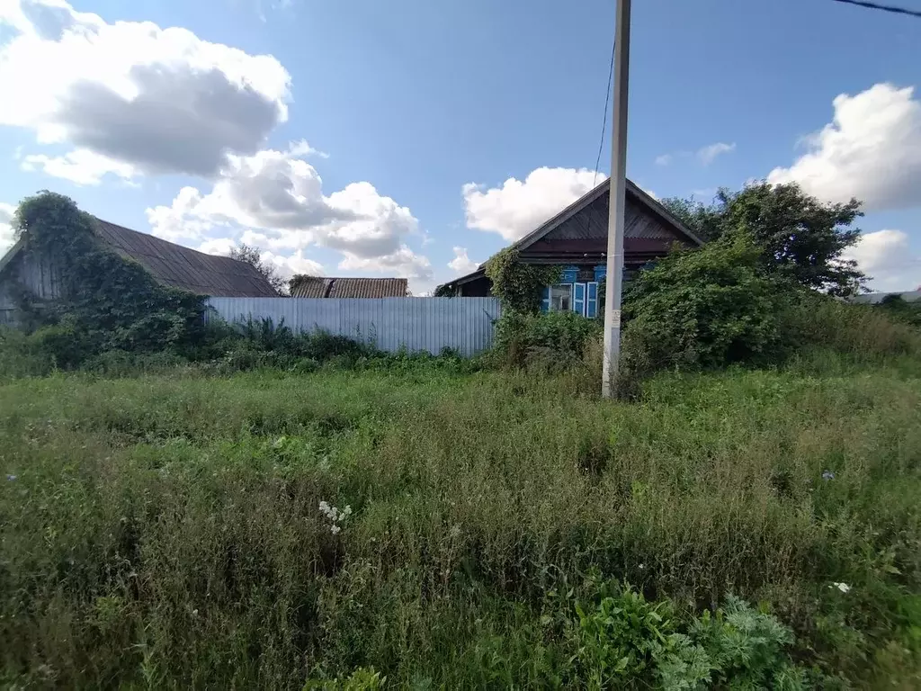 Дом в Татарстан, Тетюшский район, Кильдюшевское с/пос, с. Кильдюшево ... - Фото 1