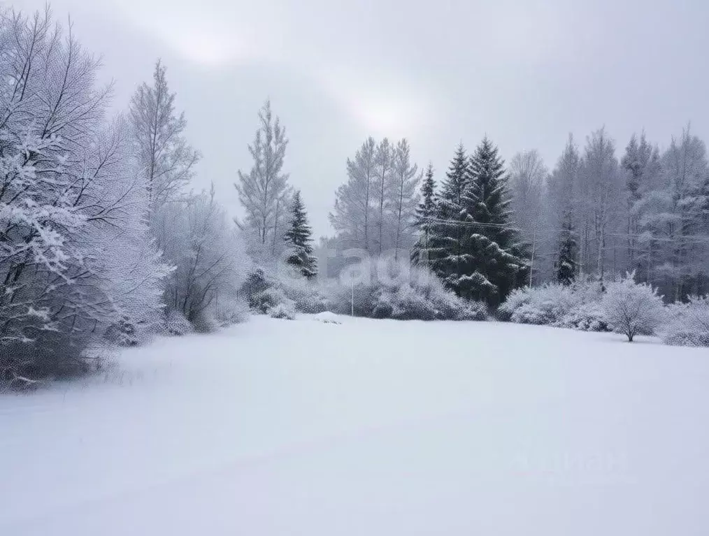 Участок в Ленинградская область, Киришский район, Кусинское с/пос, ... - Фото 1