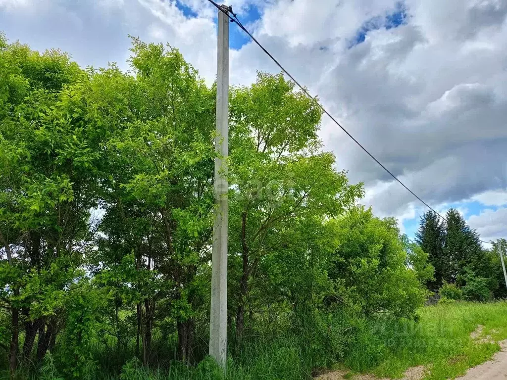 Участок в Амурская область, Благовещенск Ясное СНТ,  (10.0 сот.) - Фото 1