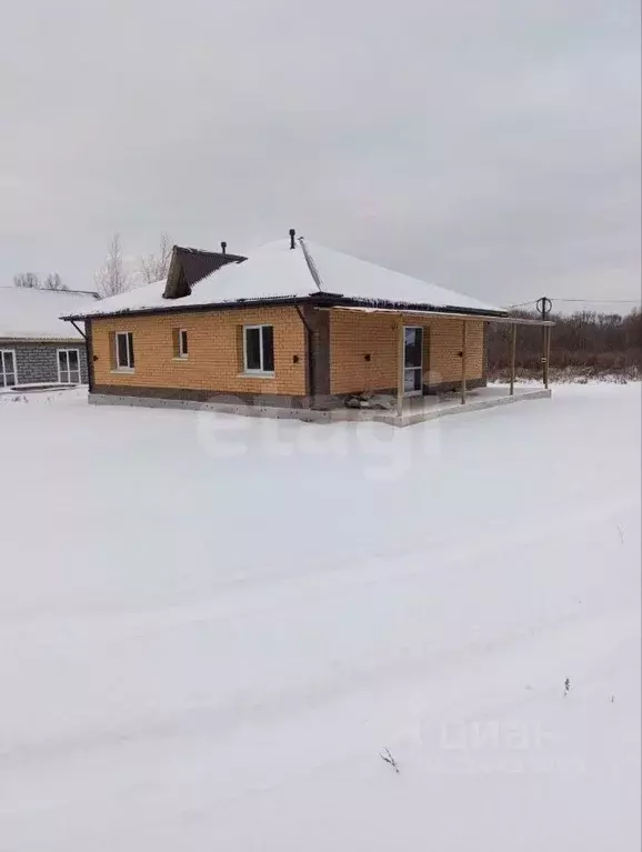 Дом в Амурская область, Благовещенский район, с. Кантон-Коммуна ул. ... - Фото 2