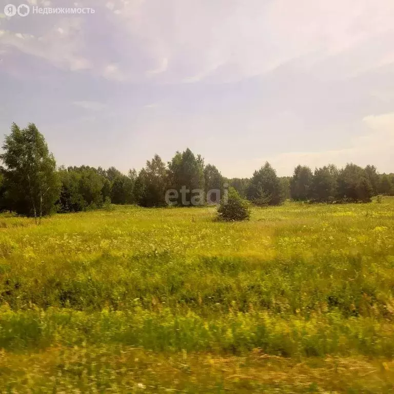 Участок в округ Муром, деревня Коржавино (15.33 м) - Фото 1