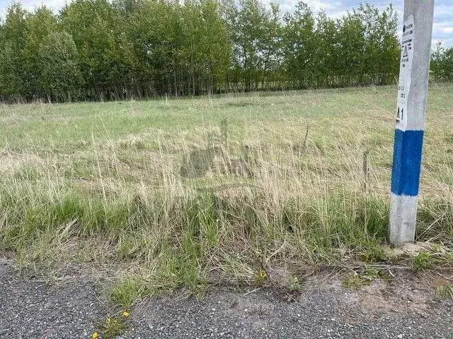 Участок, 6 сот., сельхоз (снт или днп) - Фото 2