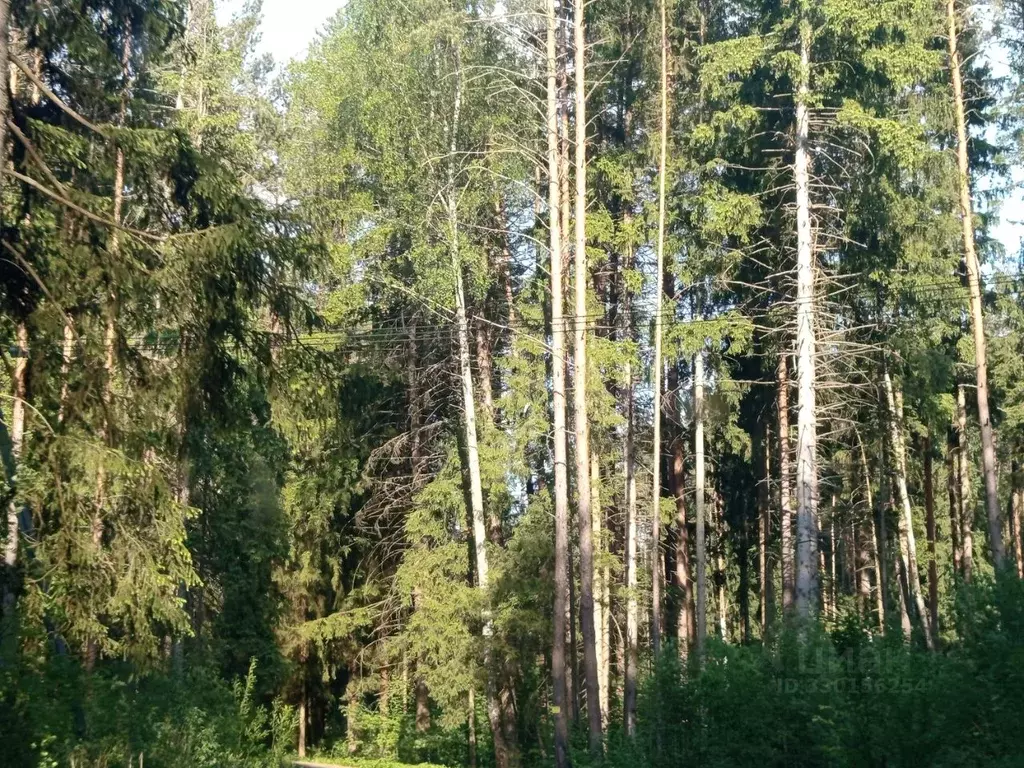 Участок в Московская область, Наро-Фоминский городской округ, ... - Фото 2