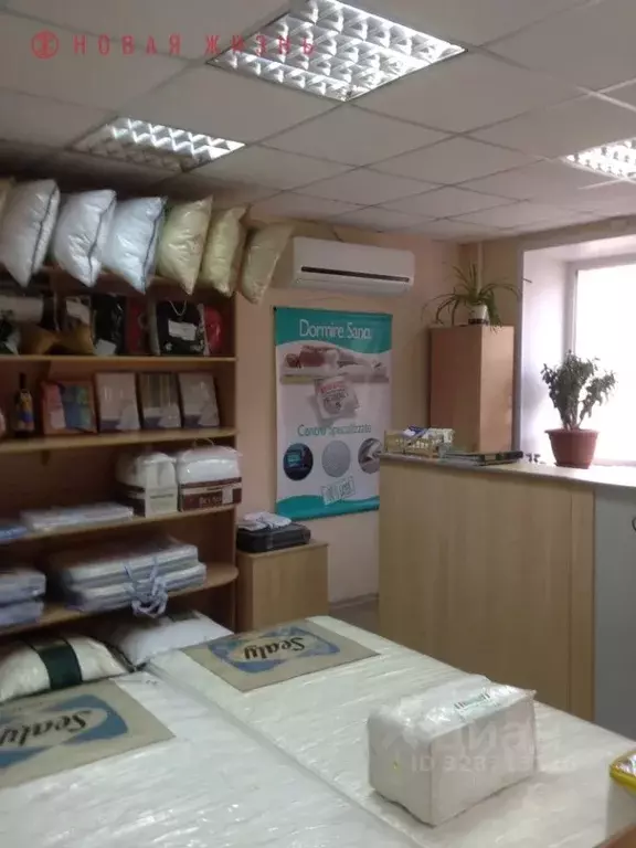 Помещение свободного назначения в Самарская область, Самара ул. ... - Фото 2