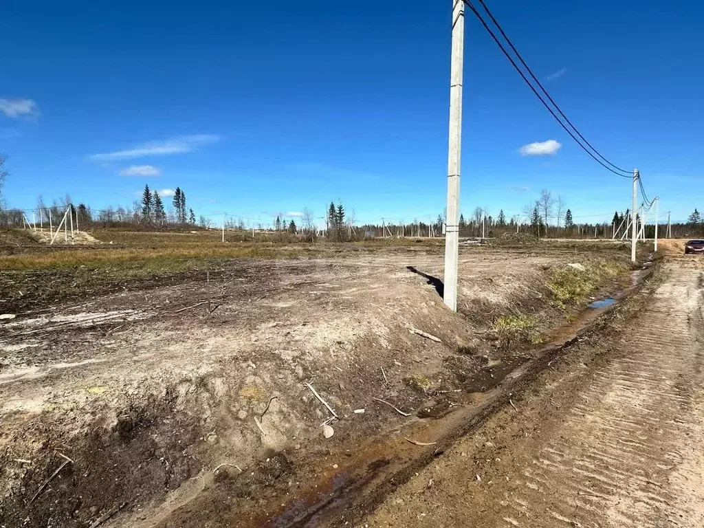 Участок в Ленинградская область, Всеволожский район, Агалатовское ... - Фото 0