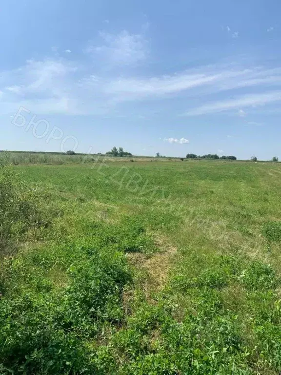 Дом в Саратовская область, Балашовский район, с. Терновка ул. Малая ... - Фото 0