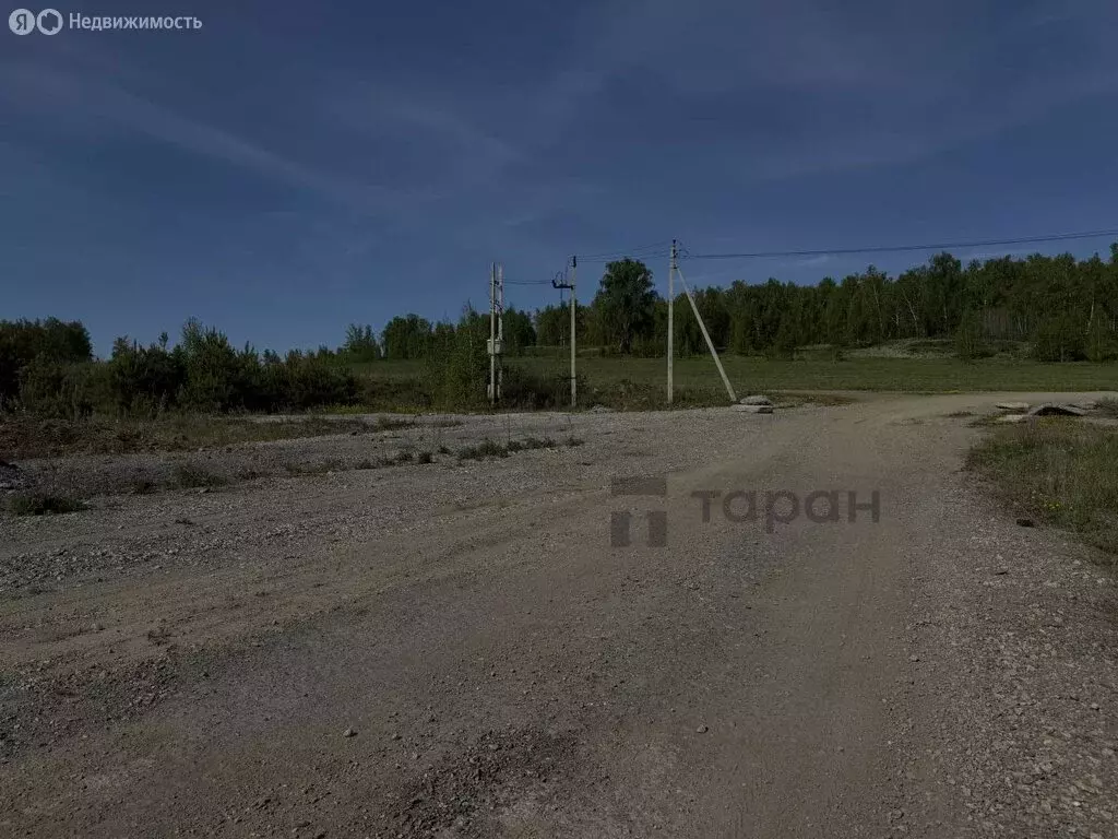 Участок в Челябинская область, Чебаркульский муниципальный округ, ... - Фото 2