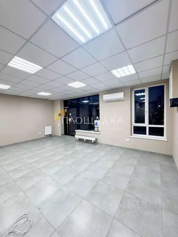 Помещение свободного назначения в Ростовская область, Ростов-на-Дону ... - Фото 1