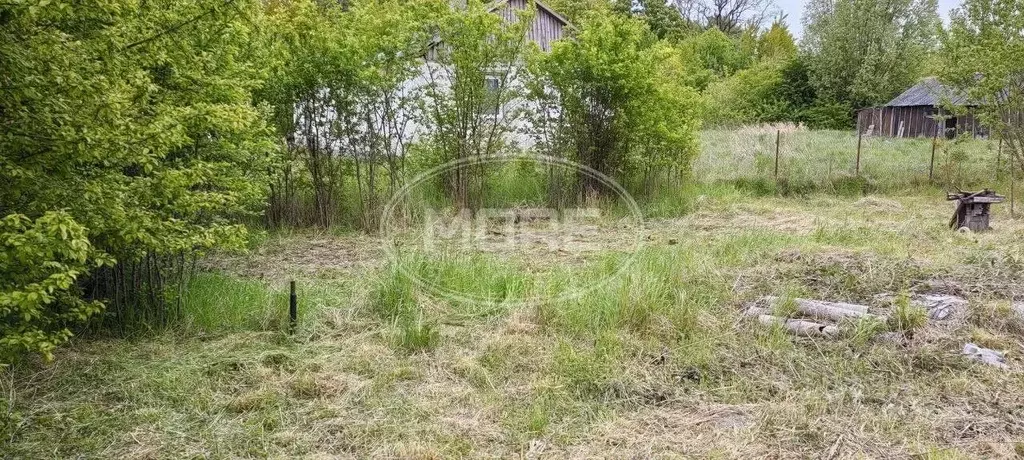 Участок в Калининградская область, Багратионовский муниципальный ... - Фото 1