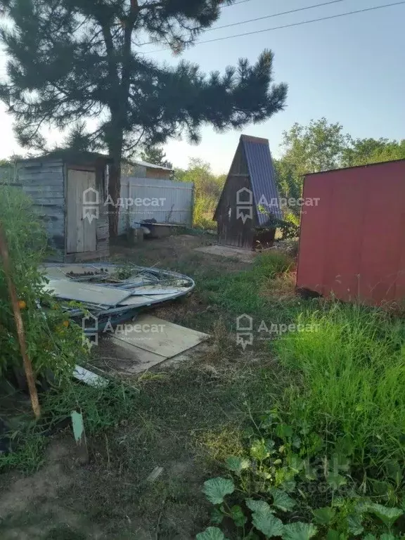 Дом в Волгоградская область, Волгоград Аврора СНТ,  (22 м) - Фото 1