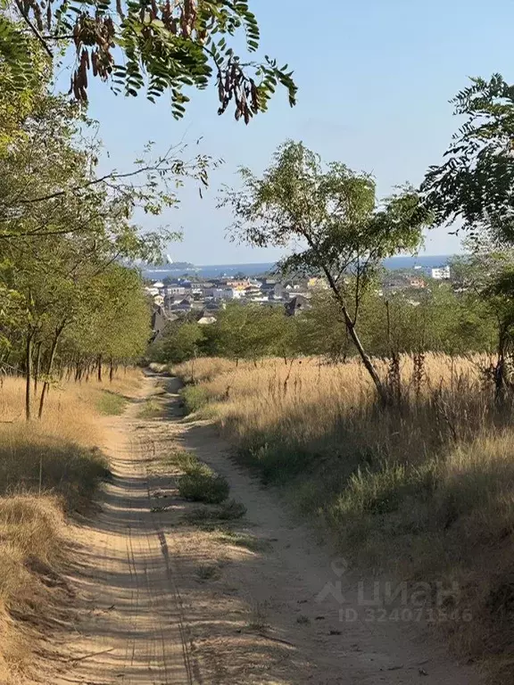 Участок в Краснодарский край, Анапа муниципальный округ, пос. ... - Фото 2