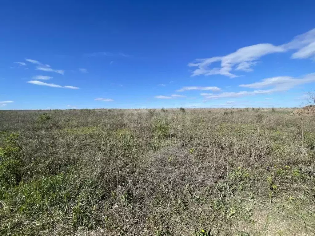 Участок в Белгородская область, Белгородский район, Беловское с/пос, ... - Фото 1