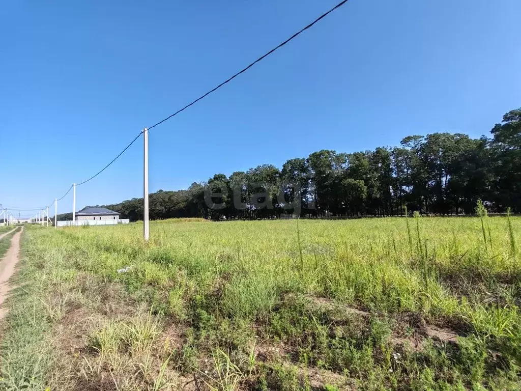 Участок в Краснодарский край, Темрюк ул. Ильи Павленко (6.7 сот.) - Фото 2