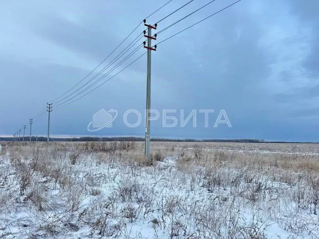 Участок в Тюменская область, Тюменский район, с. Горьковка  (200.0 ... - Фото 1