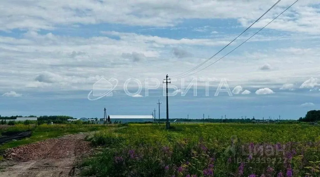 Участок в Тюменская область, Тюменский муниципальный округ, с. ... - Фото 1