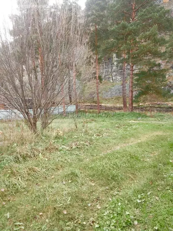 Участок в Чемальский район, Узнезинское сельское поселение, село ... - Фото 0