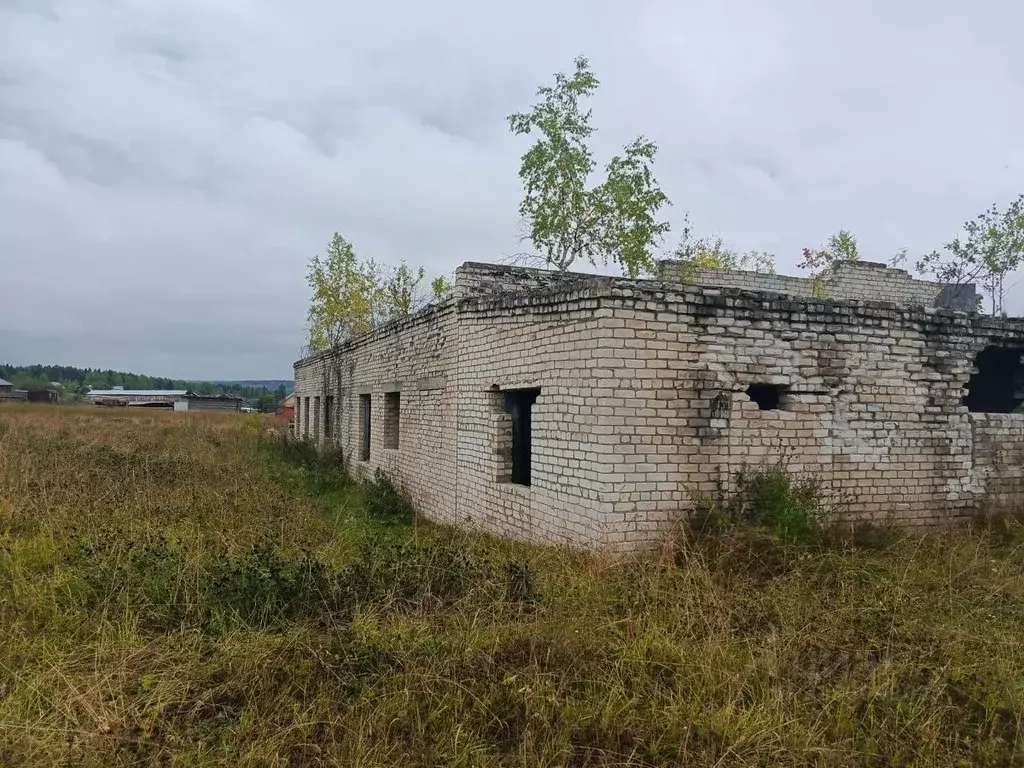 Гараж в Пермский край, Березники муниципальный округ, с. Щекино ул. ... - Фото 2