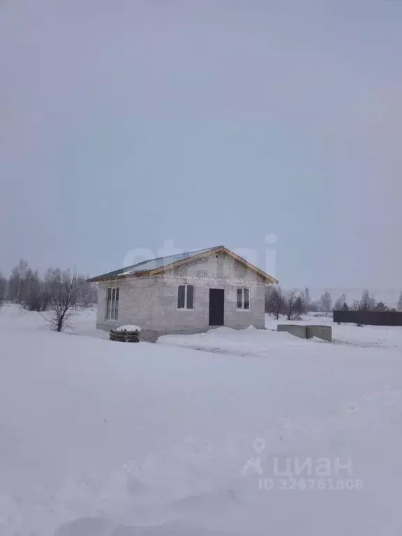 Дом в Алтай, Майминский район, с. Подгорное пер. Ягодный, 12 (60 м) - Фото 1