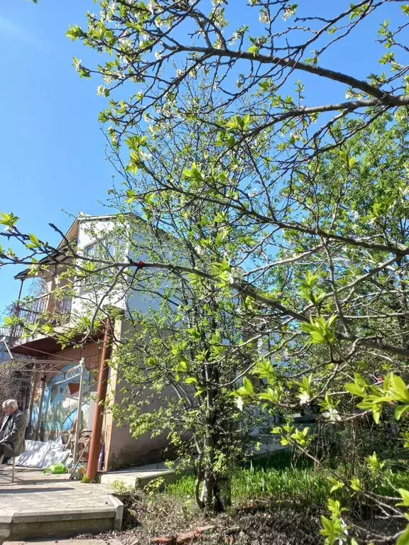 Дача 36 м на участке 8 сот. - Фото 0