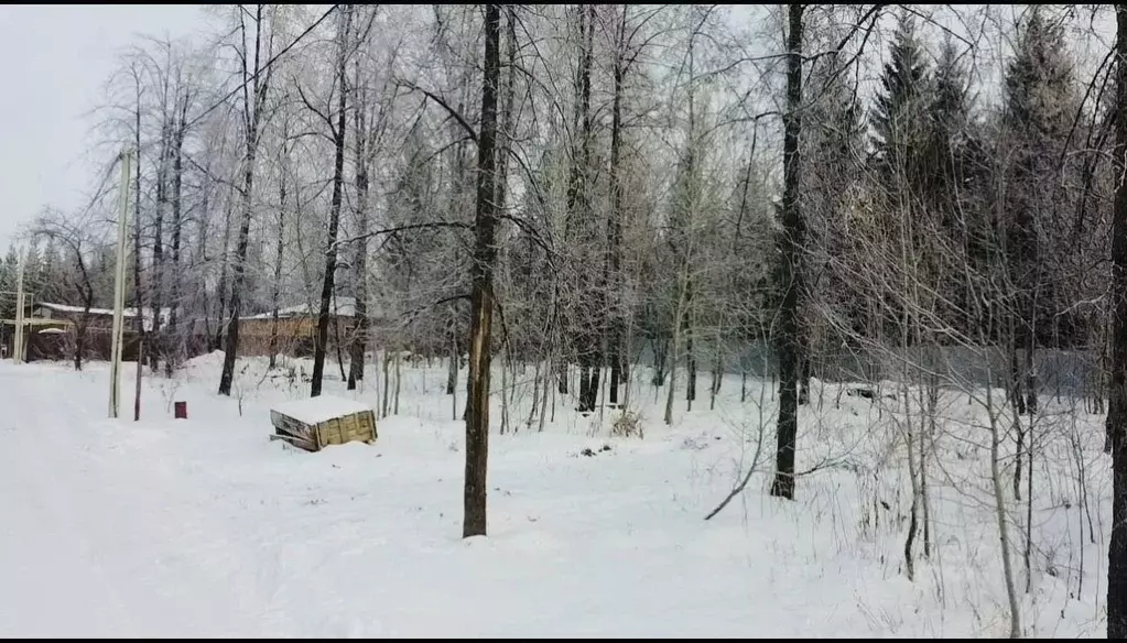 Участок в Новосибирская область, Новосибирский район, Барышевский ... - Фото 0