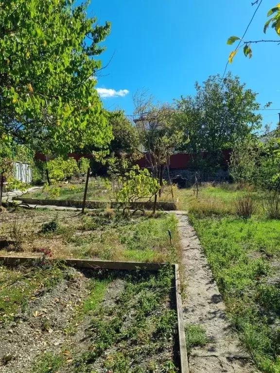 Участок в Краснодарский край, Геленджик муниципальное образование, с. ... - Фото 0